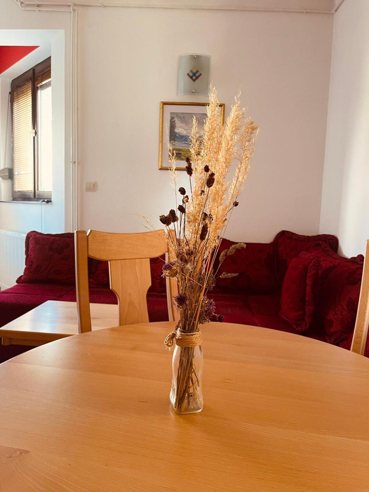 Hill Durmitor Apartment Zabljak  Exterior photo